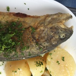 Zur Forelle - Und hier der Kopf!!
