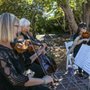 Photo of Rose Quartet