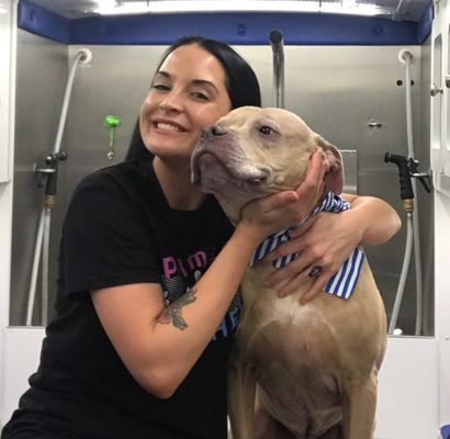 primped pooches mobile dog spa