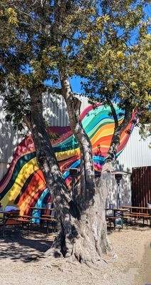 The Junction Beer Garden by null