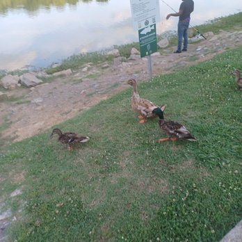 Cedar Hill Park - Parks Near Me - Madison, Tennessee