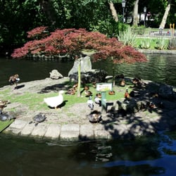 Campo de San Francisco - A beautiful park with ducks, swans, peacocks, turtles, rock formations, shaded seating, flowers, and centry old trees.