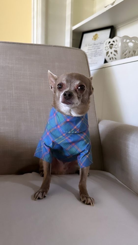 CRESCENTA CANADA PET HOSPITAL 46 Photos & 171 Reviews 3502 Foothill Blvd, La Crescenta