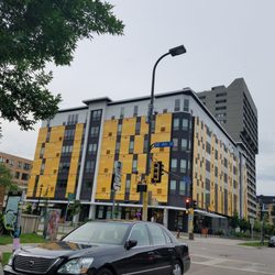 University of Minnesota - Yellow. Is it me you're looking for?