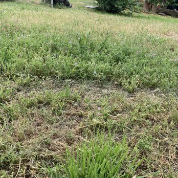 Lawn Care Up - Lawn Services Near Me - Sacramento, California Lawn Care Up - Lawn Services Near Me - Sacramento, California