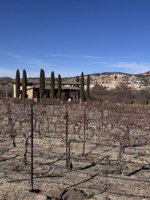 Alcantara Vineyards and Winery by null