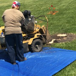 Painless Stump Grinding - Jim positioned the machine so to accumulate the shavings on the tarp.