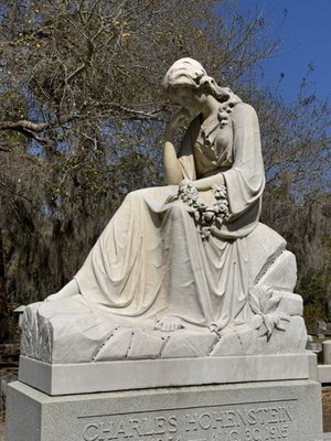 Bonaventure, Historic Savannah, Low Country & Private with Shannon Scott Tours by null
