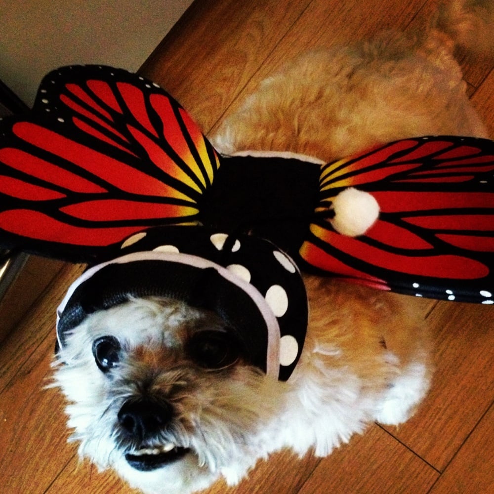 BOSLEY’S Updated August 2024 11 Reviews 3045 West Broadway