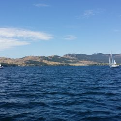 Action Rentals - Great Day for a Sail