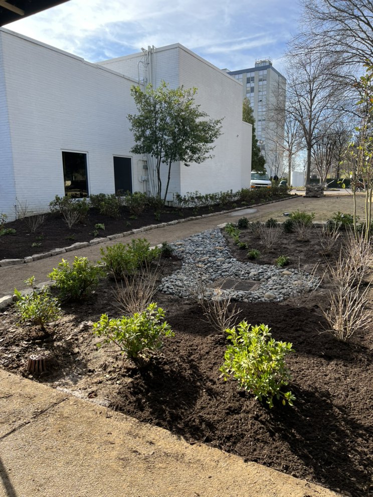 Rivera Lawn Care - tree service in Memphis, TN