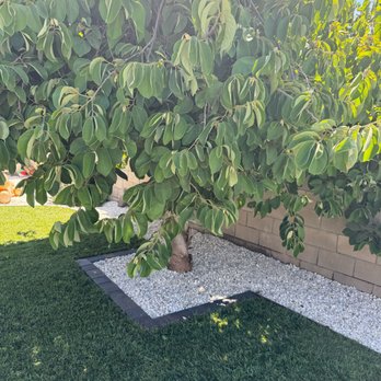 Sunset Pavers - Masonry/Concrete Near Me Sunset Pavers - Masonry/Concrete Near Me