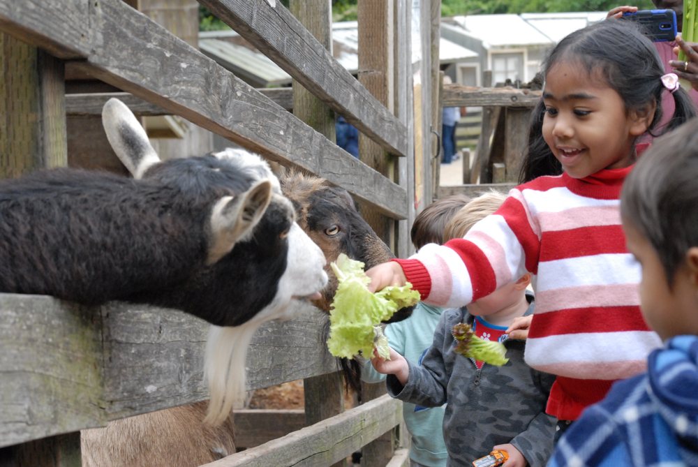 Mi Pequeño Mundo - My Little World Preschool - childcare center in Bakersfield, CA