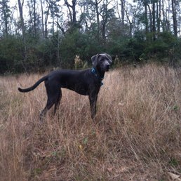Nature walk! She's taking in all the stuff and things!