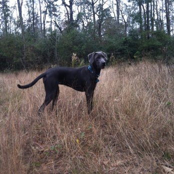 Burroughs Park - Nature walk! She's taking in all the stuff and things! - Fishing Near Me - Tomball, Texas