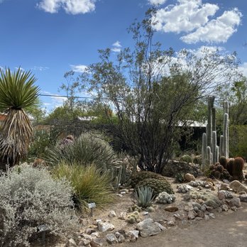 Tucson Botanical Gardens - Botanical Gardens Near Me - Tucson, Arizona Tucson Botanical Gardens - Botanical Gardens Near Me - Tucson, Arizona
