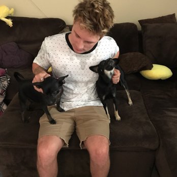 Bark Busters - Pet Training Near Me - Henderson, Nevada