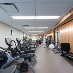 Allan McGavin Sports Medicine Clinic Physiotherapy - Equipment in our facility, shared space with staff.