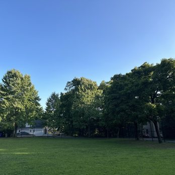 Schick Park - An outdoor park area features a large, open grassy space bordered by multiple trees with green foliage. The sky above is clear and bright blue, indicating a sunny day. In the background, there are buildings and parked cars, partially obscured by the trees. The scene is calm and natural, with no people visible. - Playgrounds Near Me - Brookline, Massachusetts