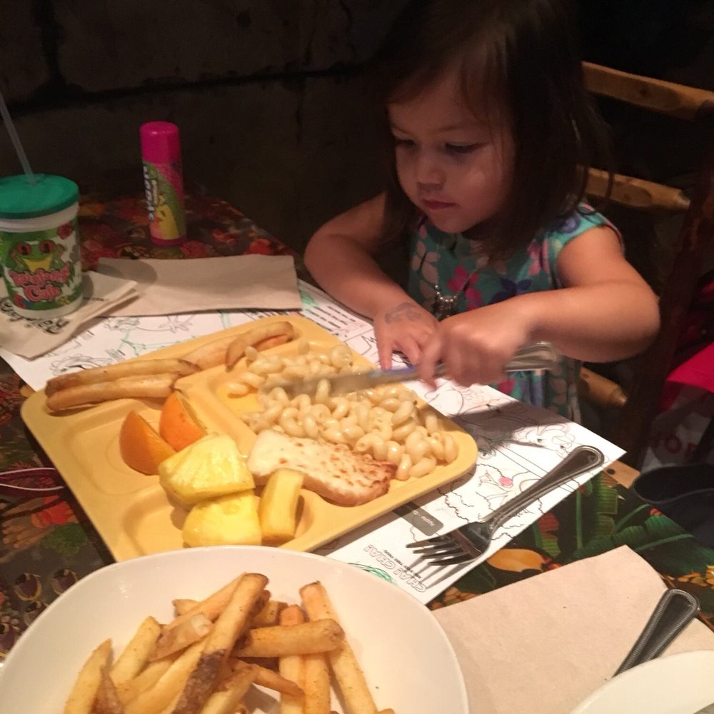 Rainforest Cafe - American Near Me - Katy, Texas