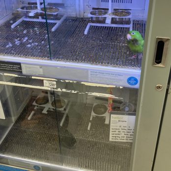 Petco - Just darkness, dirty water, and poop on the walls for the less visible birds. - Pet Training Near Me - Petaluma, California Petco - Just darkness, dirty water, and poop on the walls for the less visible birds. - Pet Training Near Me - Petaluma, California