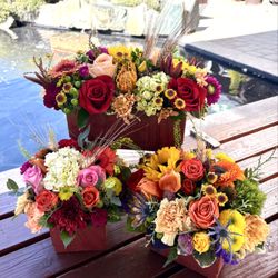 Flowers Beautiful