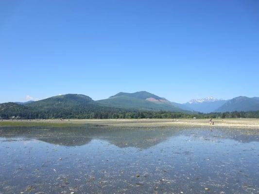 Dosewallips State Park by null