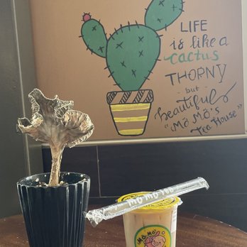 Mo Mo Tea - Bubble Tea Near Me - Englewood, Colorado