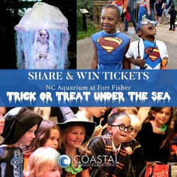 Coastal Dermatology & Surgery Center - Facebook.com/coastaldoctor.com