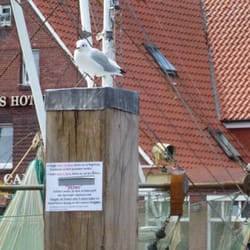 Fischerei-Genossenschaft Neuharlingersiel