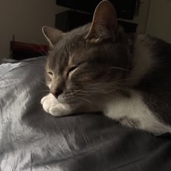 A Home Away From Home Luxury Pet Boarding - Completely content with his visit lol
