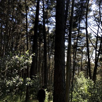Joaquin Miller Park - Parks Near Me - Oakland, California