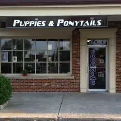 Puppies & Ponytails