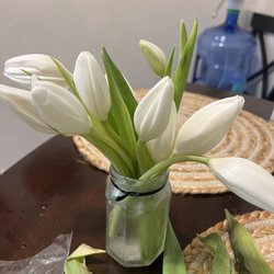 Tulips