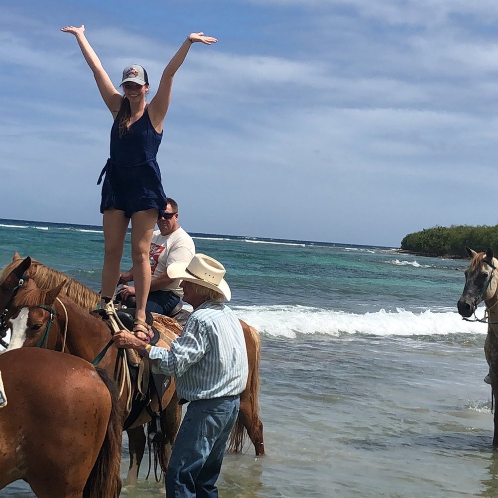Equus Rides - Horseback Riding Near Me - Christiansted, Virgin Islands Equus Rides - Horseback Riding Near Me - Christiansted, Virgin Islands