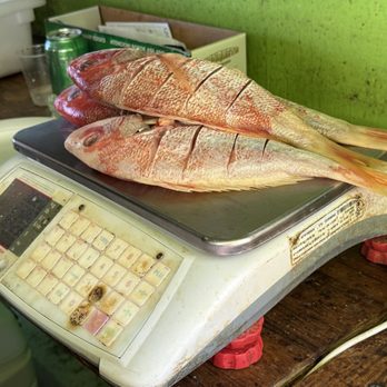 Pescaderia Don Candi - Weigh it! - Seafood Near Me - Fajardo, Puerto Rico