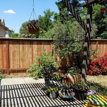 Dan's Construction Sacramento - After... solid and beautiful work by Dan's Construction - Fences & Gates Near Me - Elk Grove, California