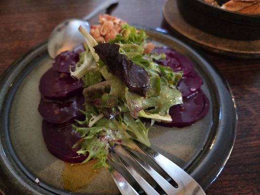 Oystercatcher by null