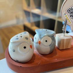 Early Owl - Cute salt shakers