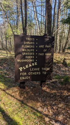 Ferry Beach State Park by null