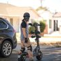 Photo of Rogue Scooters