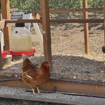 Bloom Ranch Of Acton - Farms Near Me - Acton, California