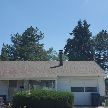 Qualitree - Complete job, tree gone. - Tree Services Near Me