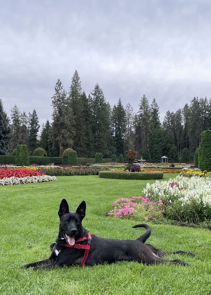 JEANNE’S DOGGIE DAY CARE & PET HOTEL Updated July 2024 137 Photos