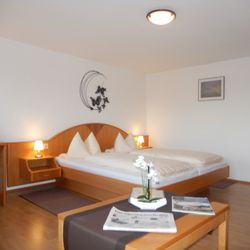Hotel Zum Pflug - Zimmer 1 ohne Balkon