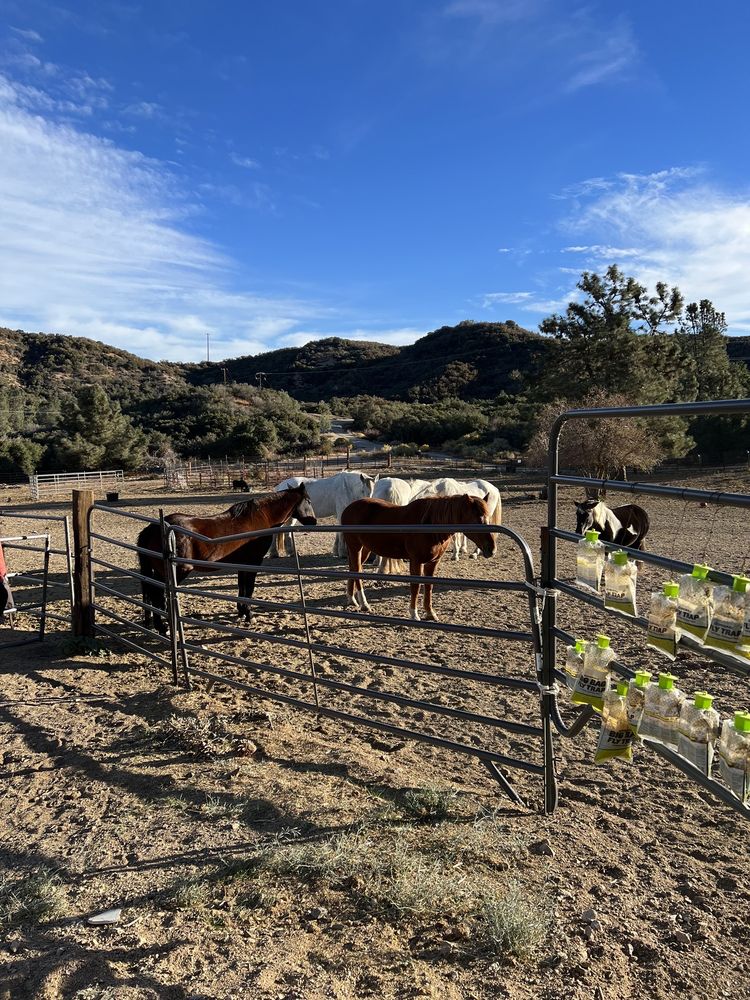 Running Horse Ranch Logo