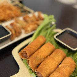 Pho U - Spring rolls, dumplings