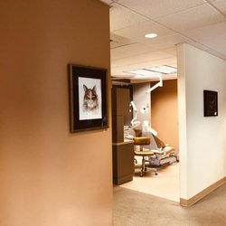 Alan M Munk, DDS - 3 Treatment Rooms - Our Brand new chair for Implants, crowns and root canal