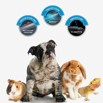Hampton Floor Covering - a group of pets - Flooring Near Me Hampton Floor Covering - a group of pets - Flooring Near Me