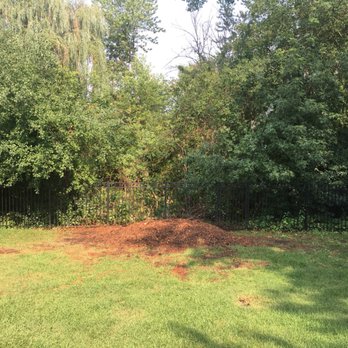 Mario's Tree Service - Tree Services Near Me